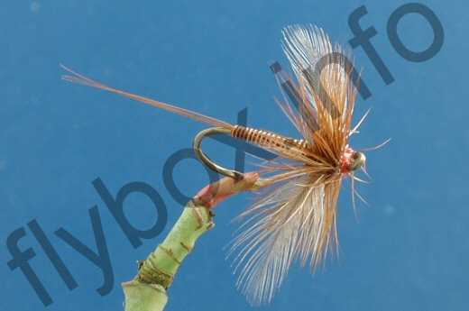Fish4Flies Lunn's Particular